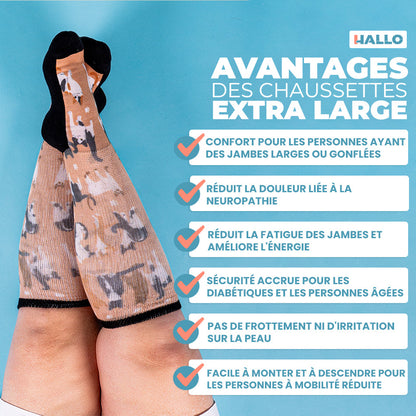 Pack de 6 paires de chaussettes confortables unies